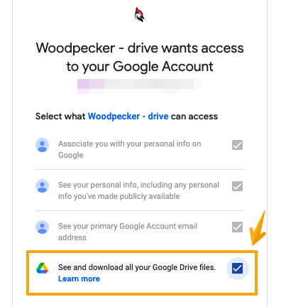 "See and download all your Google Drive files" box checkmarked